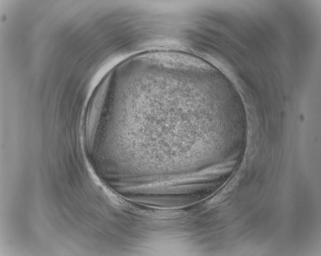 X0000057081440200509231612