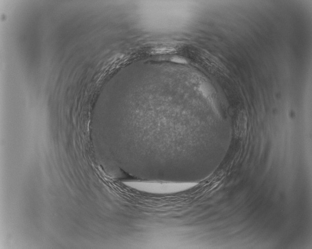 X0000057081441200509231612