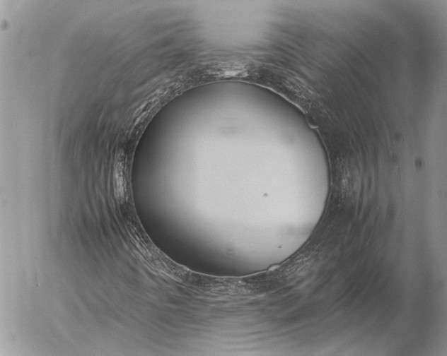 X0000057081442200509231611