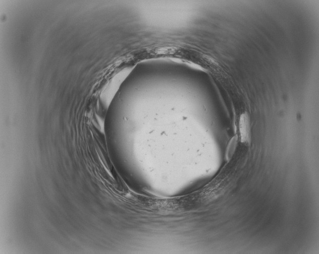 X0000057081443200509231611