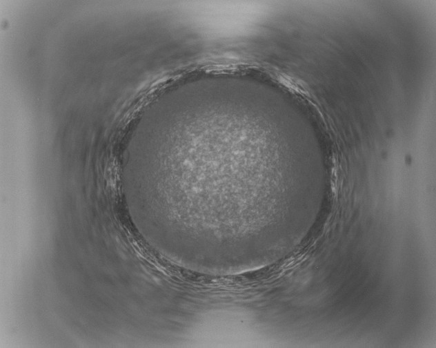 X0000057081445200509231611