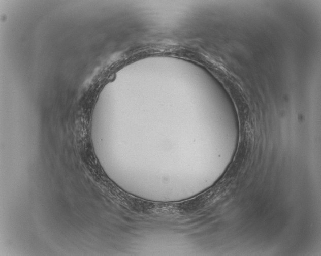 X0000057081447200509231611