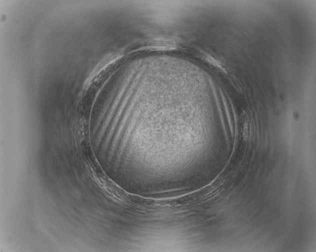 X0000057081448200509231611