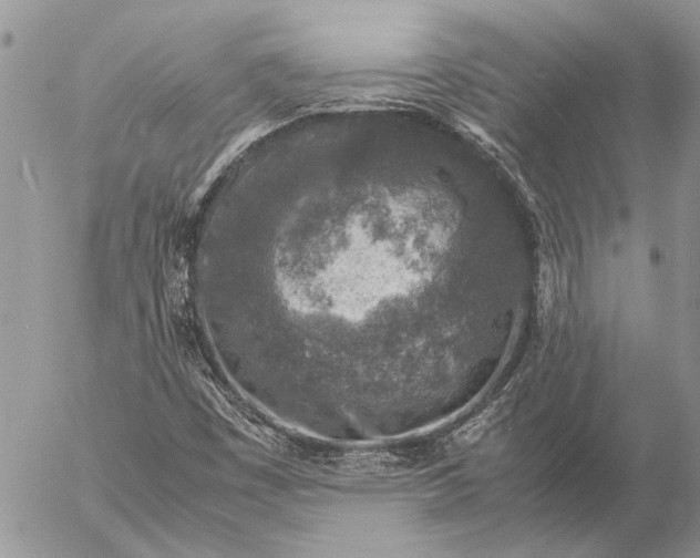 X0000057081449200509231611