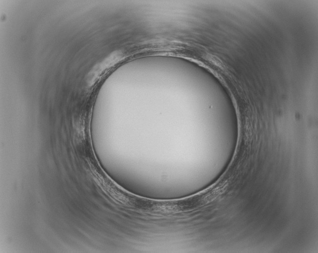 X0000057081451200509231611