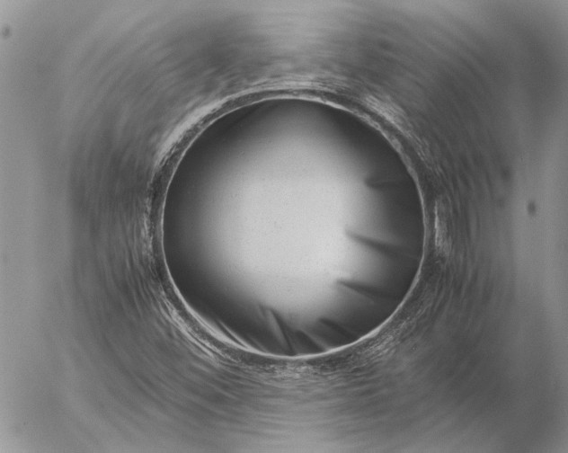 X0000057081452200509231611