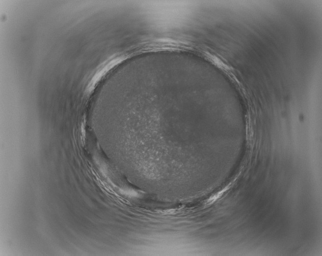 X0000057081453200509231611