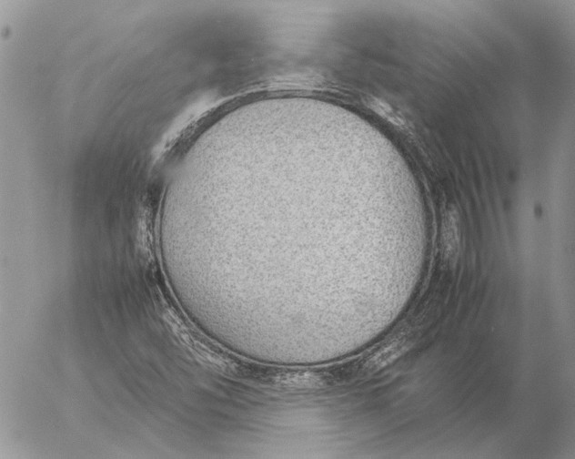 X0000057081454200509231611