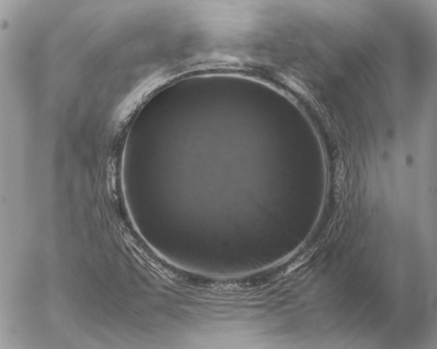 X0000057081455200509231611