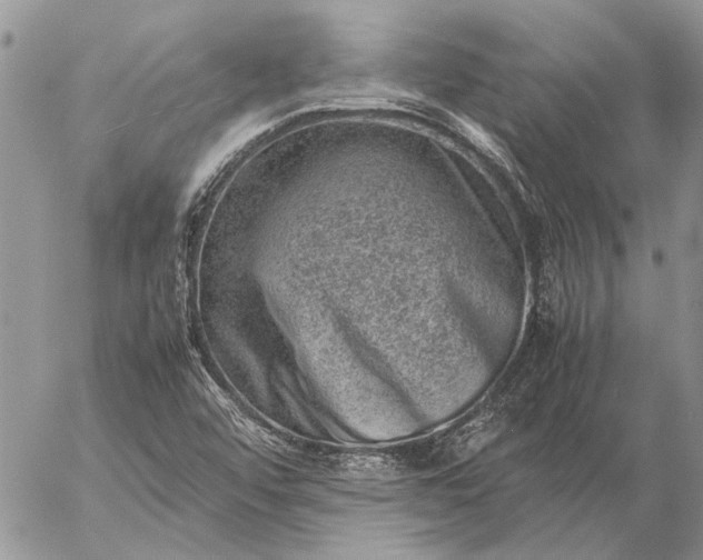 X0000057081456200509231611