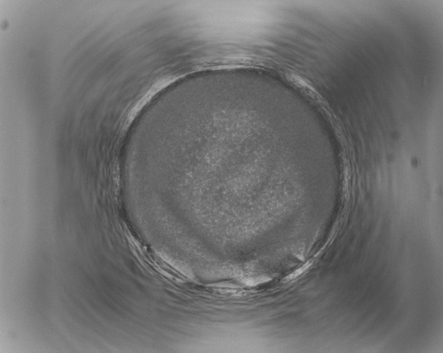 X0000057081457200509231611