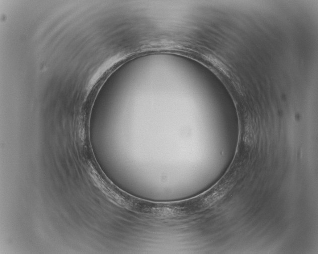 X0000057081458200509231611