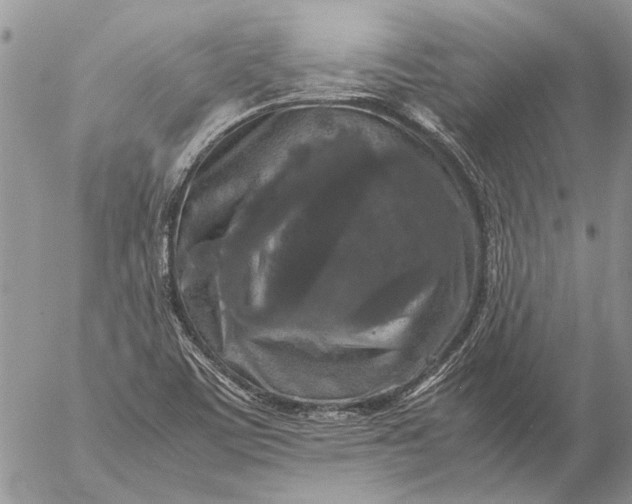 X0000057081459200509231611