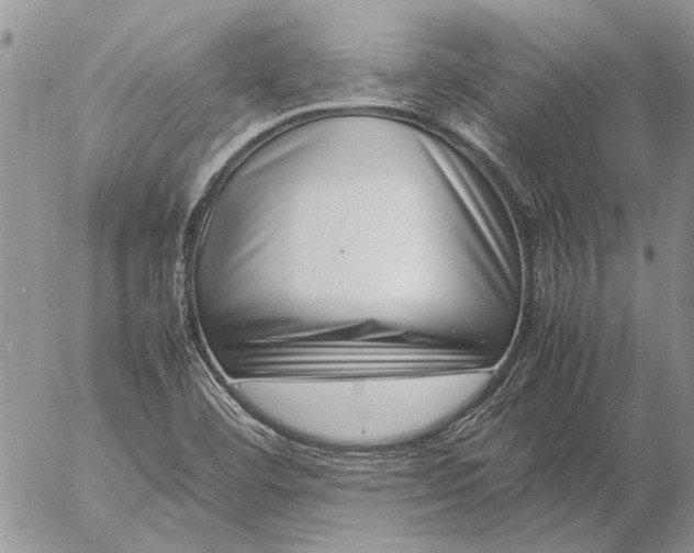 X0000057081460200509231611