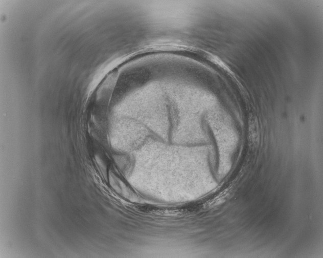 X0000057081461200509231611