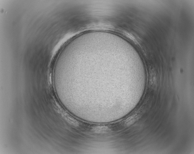 X0000057081462200509231611