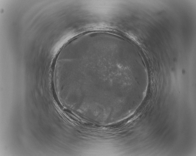 X0000057081463200509231611