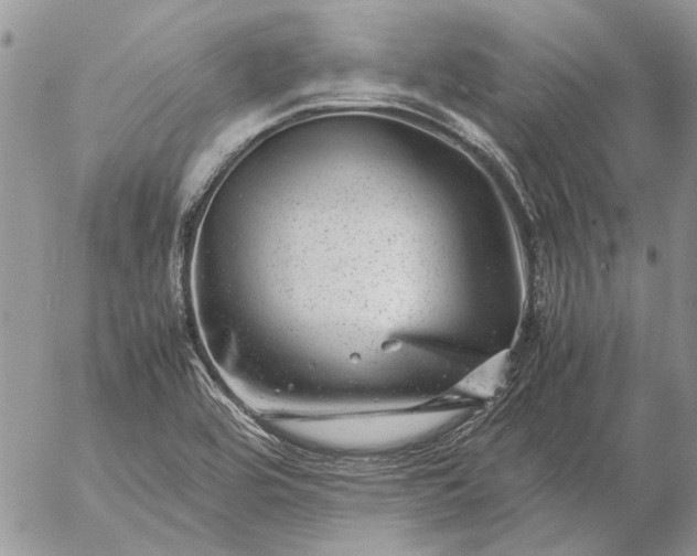 X0000057081464200509231611