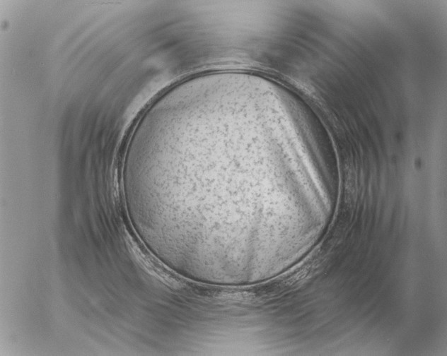 X0000057081466200509231611