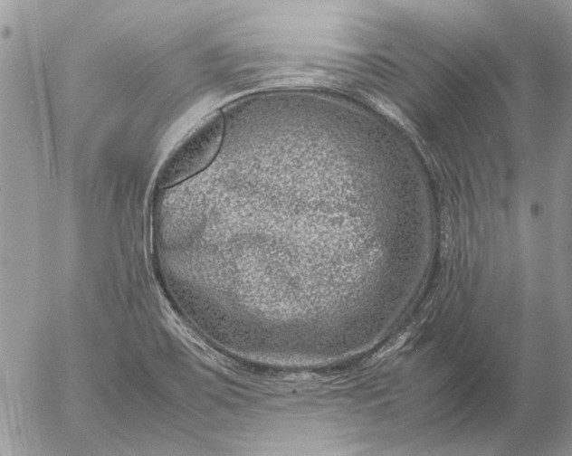 X0000057081467200509231611