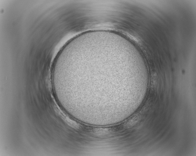 X0000057081470200509231611