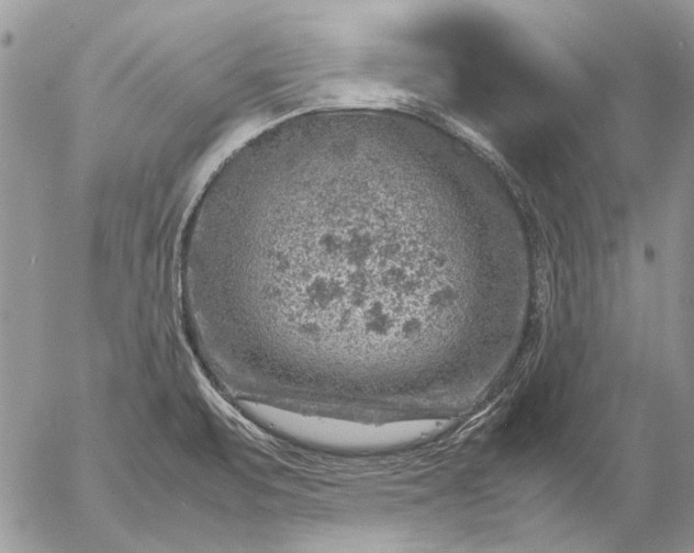 X0000057081471200509231611