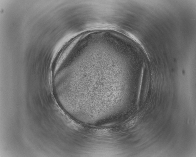 X0000057081472200509231611