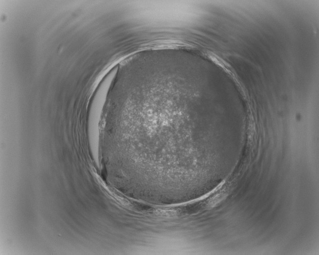 X0000057081473200509231611