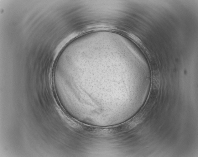 X0000057081474200509231611