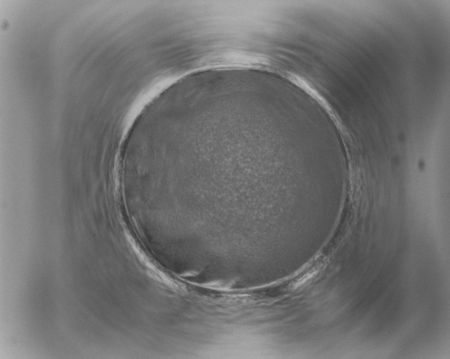 X0000057081477200509231611