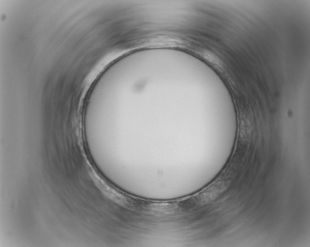 X0000057081478200509231611