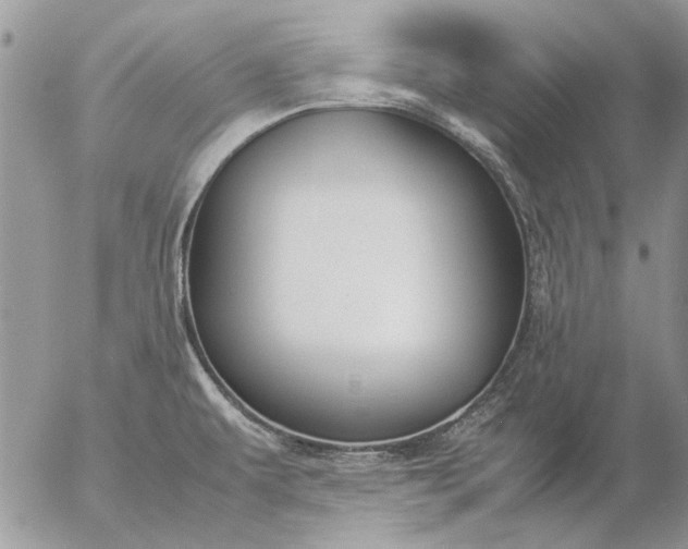 X0000057081479200509231611