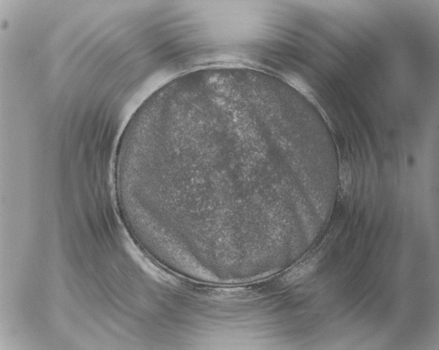 X0000057081482200509231611