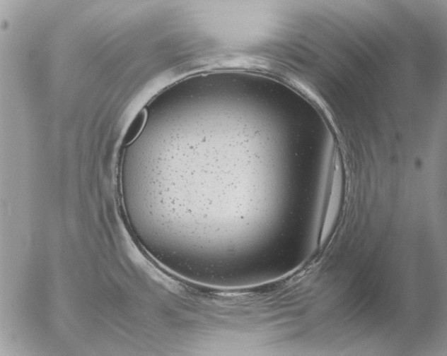 X0000057081483200509231611