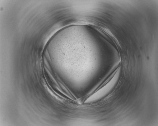 X0000057081484200509231611