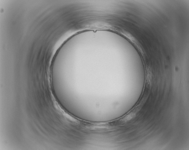 X0000057081486200509231611