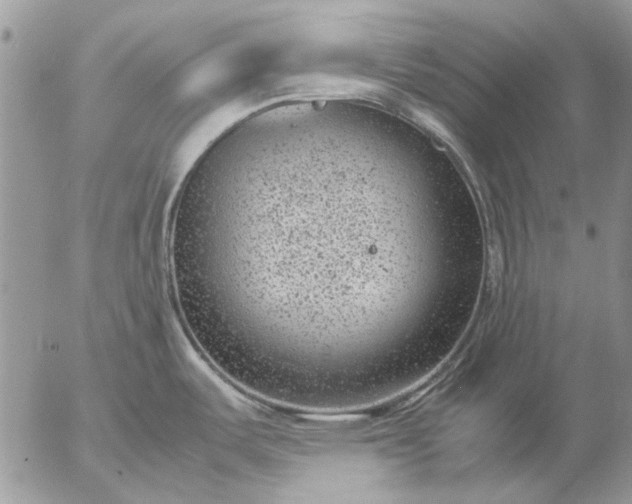 X0000057081487200509231611