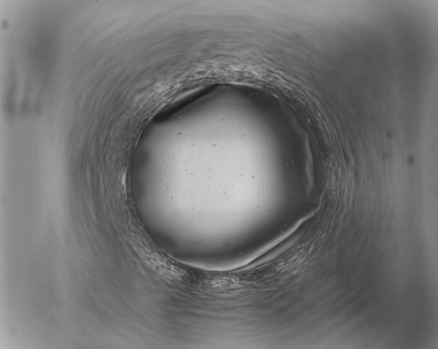 X0000057081489200509231610