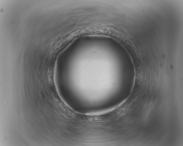 X0000057081490200509231610