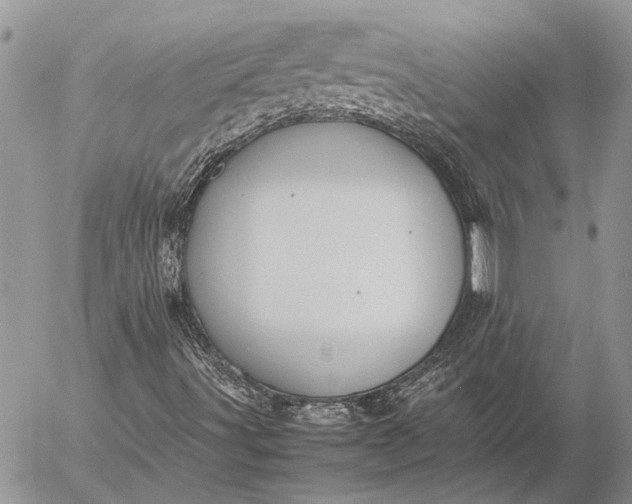 X0000057081491200509231610