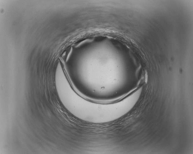 X0000057081492200509231610