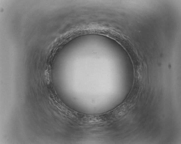 X0000057081493200509231610