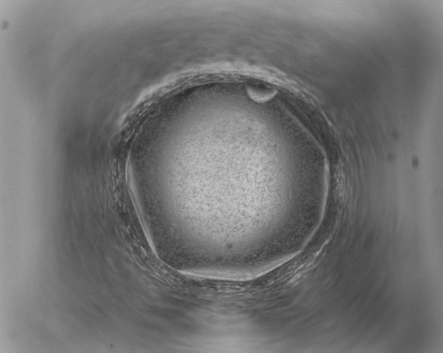 X0000057081494200509231610