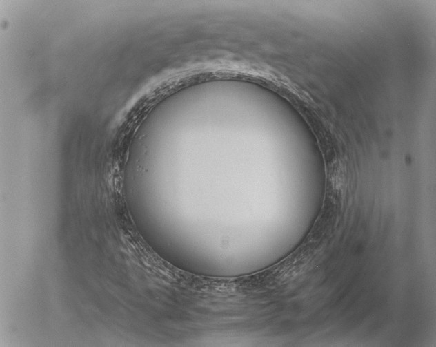 X0000057081495200509231610