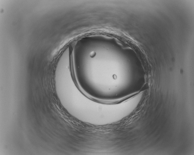 X0000057081496200509231610