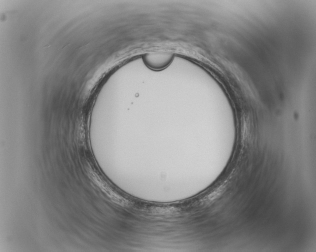 X0000057081498200509231610