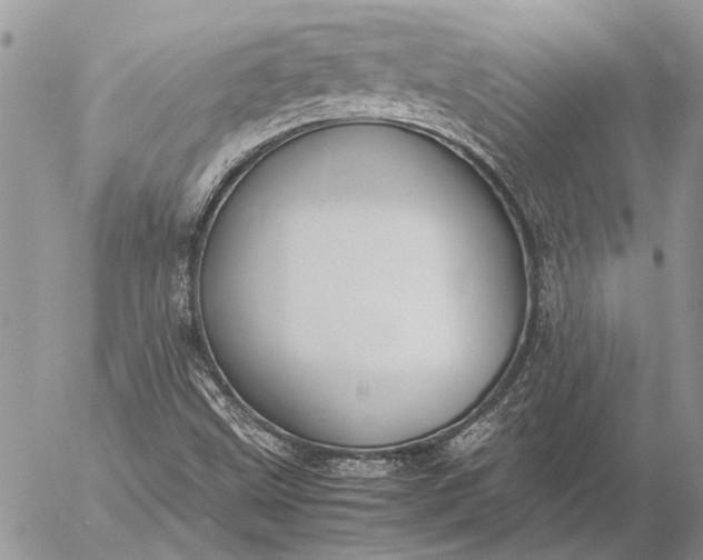 X0000057081499200509231610