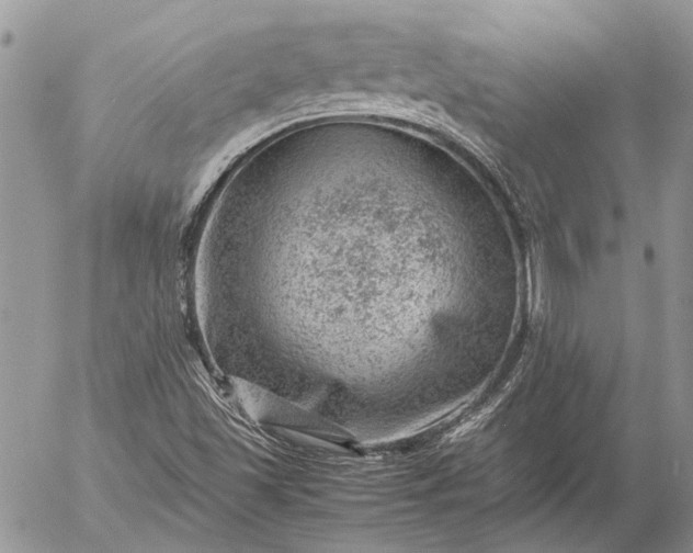 X0000057081501200509231610