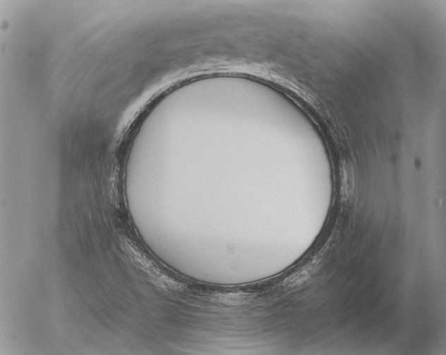 X0000057081502200509231610