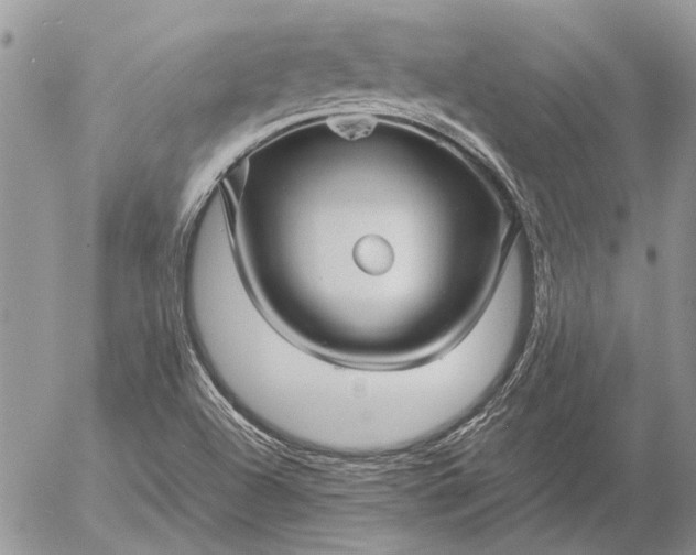 X0000057081504200509231610